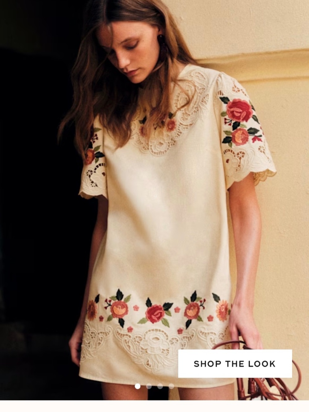 Sezane Evana Dress Ecru With Red And Pink Secret Garden Embroidery - Size 4